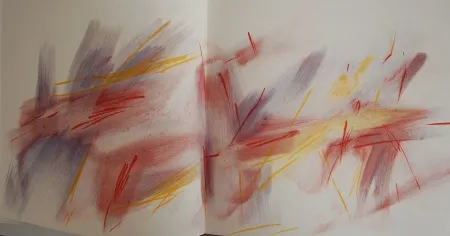 挿絵入り本 Bazaine - Bazaine