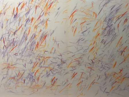 挿絵入り本 Bazaine - DLM 170