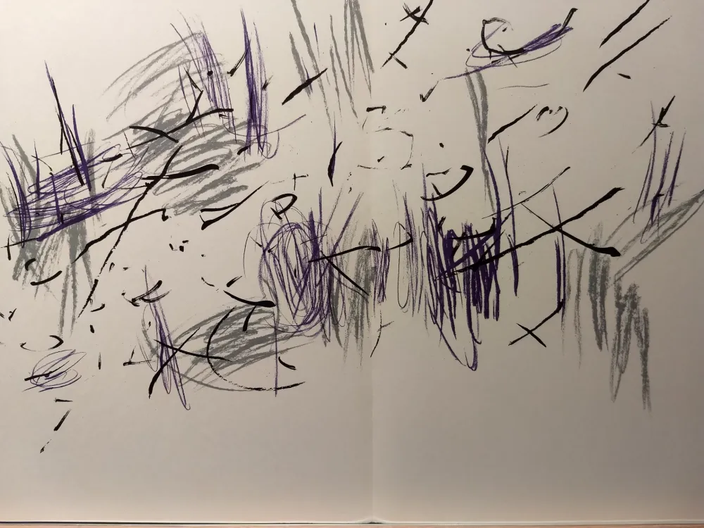 挿絵入り本 Bazaine - DLM 197