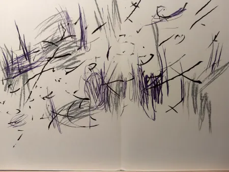 挿絵入り本 Bazaine - DLM 197