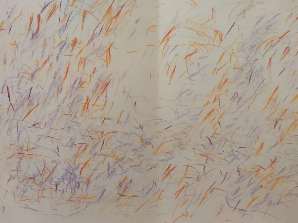 挿絵入り本 Bazaine - Edition Tete DLM 170