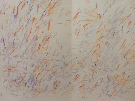 挿絵入り本 Bazaine - Edition Tete DLM 170