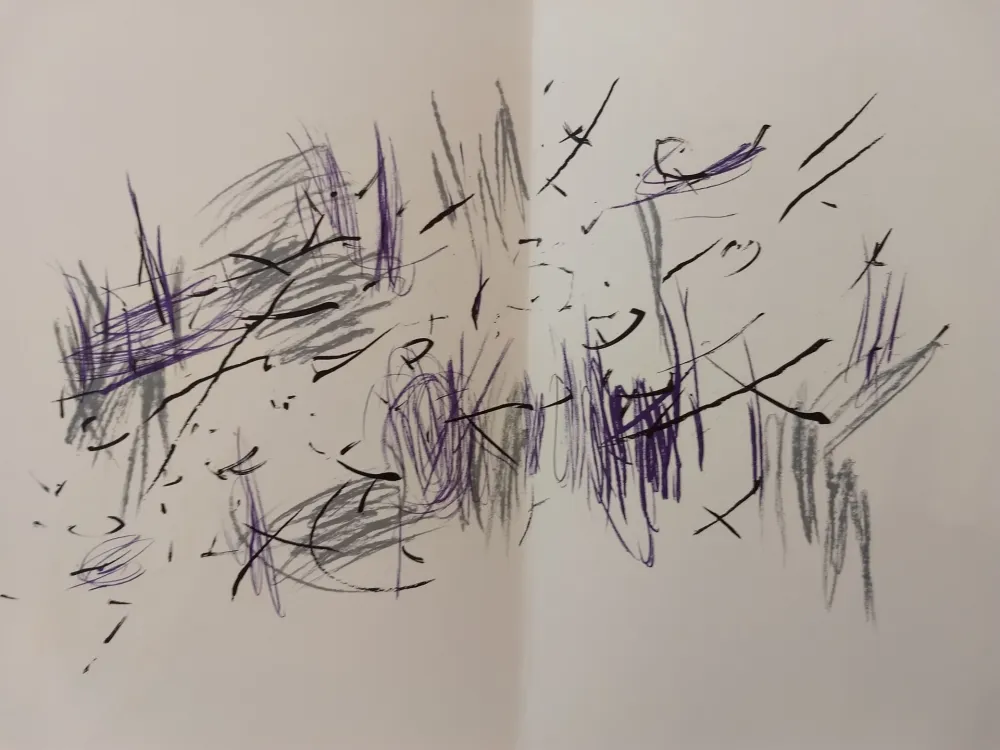 挿絵入り本 Bazaine - Edition Tete DLM 197