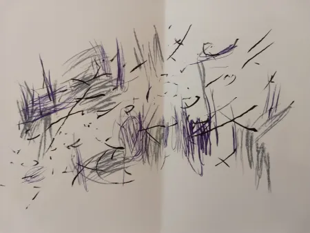 挿絵入り本 Bazaine - Edition Tete DLM 197