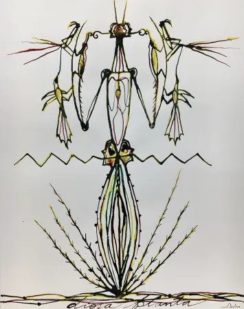 アクチアント Bedia - Diosa Planta