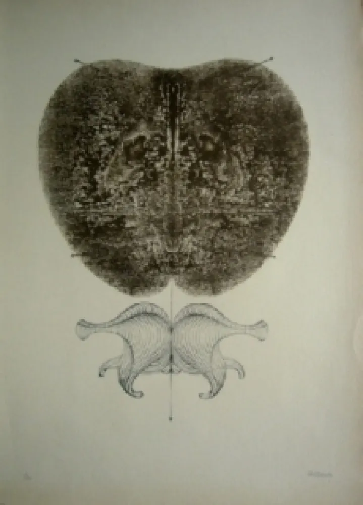 リトグラフ Bellmer - Bottines