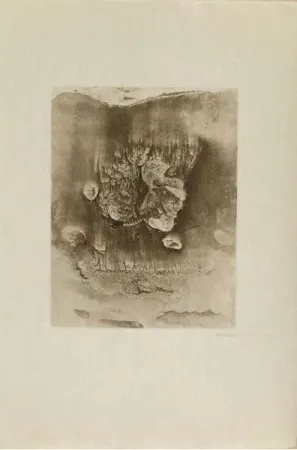 彫版 Bellmer -  Entre deux eaux