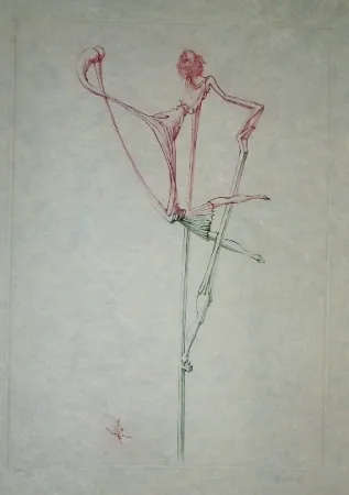 エッチングと　アクチアント Bellmer - Oeillades ciselées 7