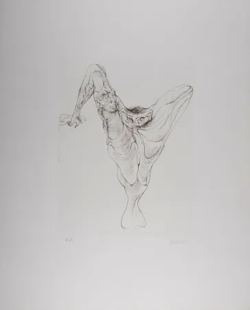 エッチング Bellmer - Sexe Oiseau