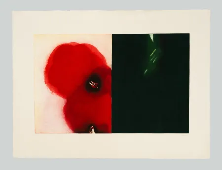 エッチングと　アクチアント Benati - Affiora