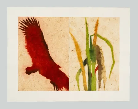 エッチングと　アクチアント Benati - Baia California