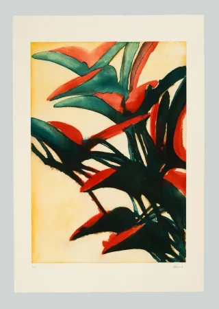 エッチングと　アクチアント Benati - Il Paese del Calmo Mattino