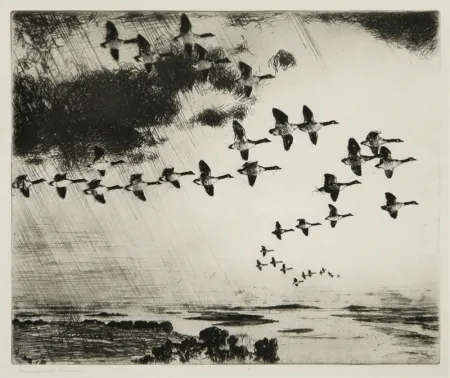 エッチング Benson - The Long Journey