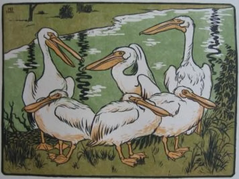 木版 Berthold - Pelikane