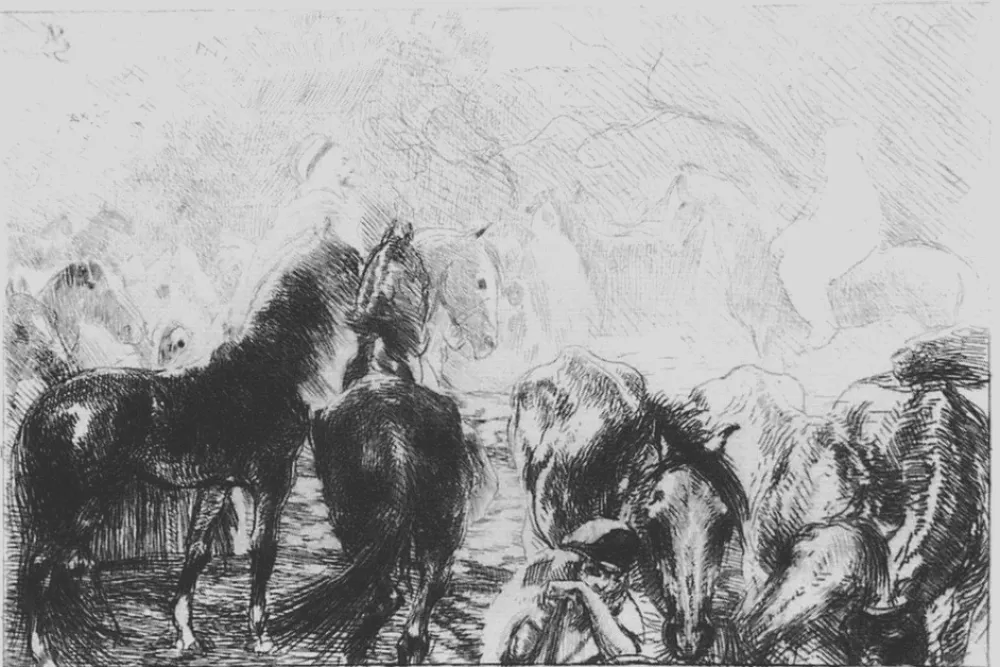 エッチング Besnard - Marché aux chevaux a Mainson Carré - Algérie