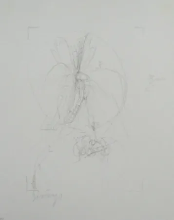 リトグラフ Beuys - Codices Madrid 10