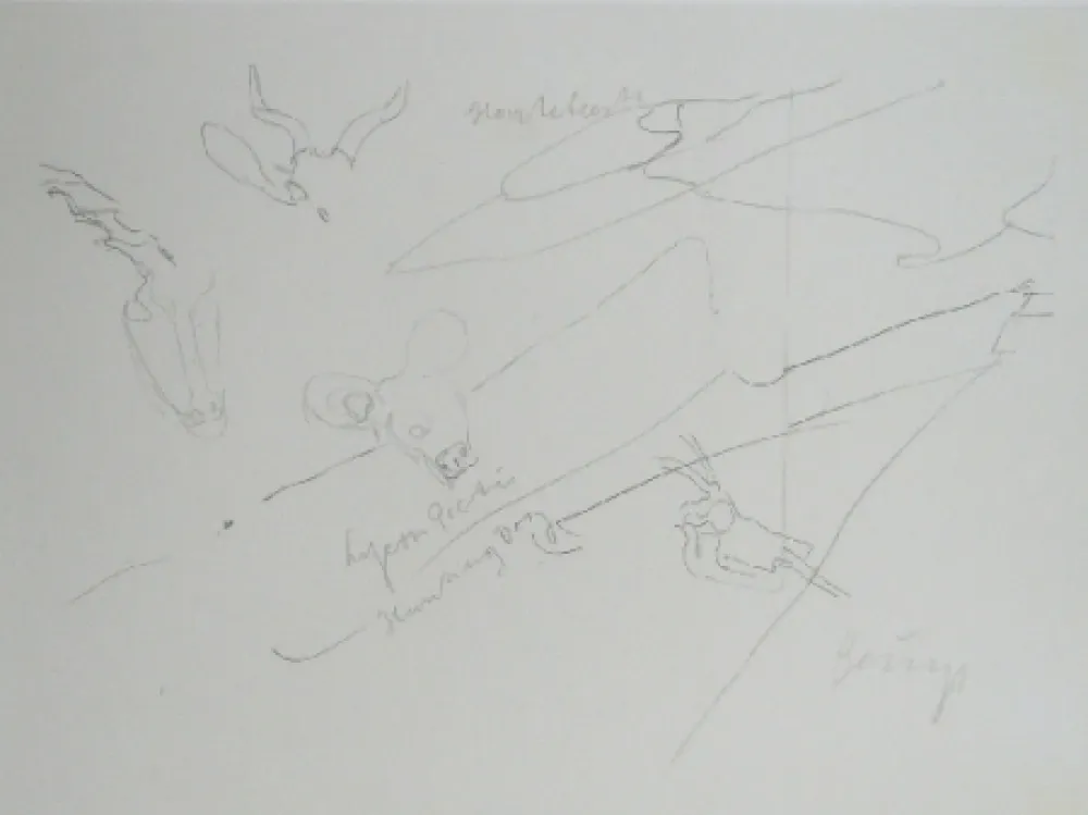 リトグラフ Beuys - Codices Madrid 9