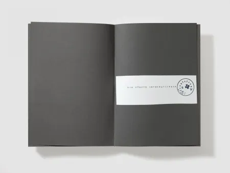 シルクスクリーン Beuys - Die leute sind ganz prima in Foggia