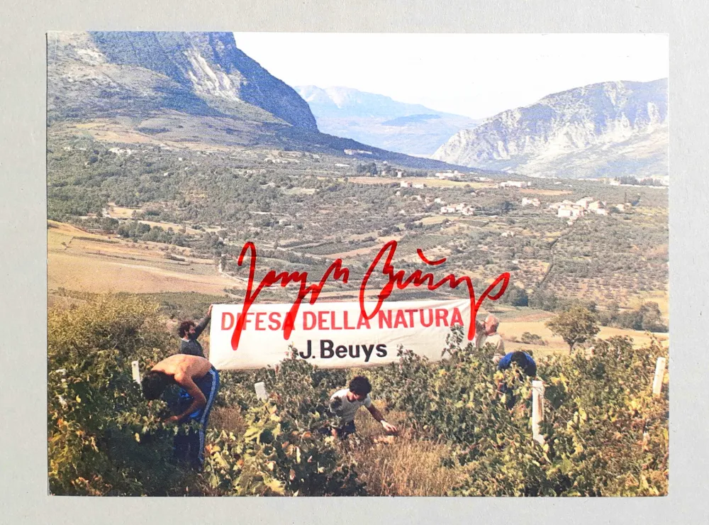オフセット Beuys - Difesa della natura