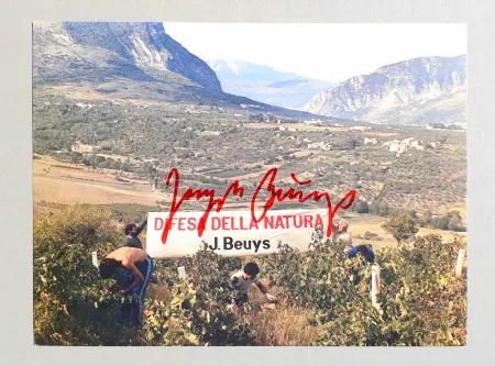 オフセット Beuys - Difesa della natura