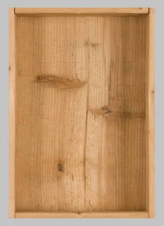 多数の Beuys - Intuition