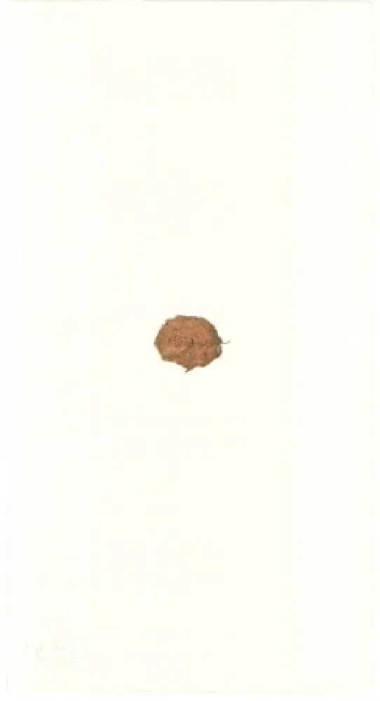 リトグラフ Beuys - Zirkulationszeit: Bär  Museumsausgabe