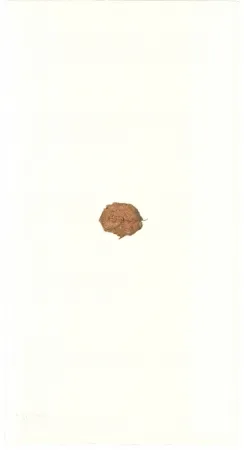 リトグラフ Beuys - Zirkulationszeit: Bär  Museumsausgabe