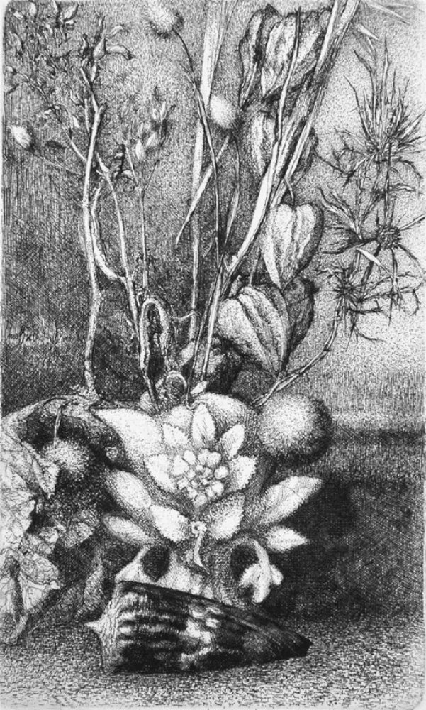 エッチング Bianchi Barriviera - Natura morta