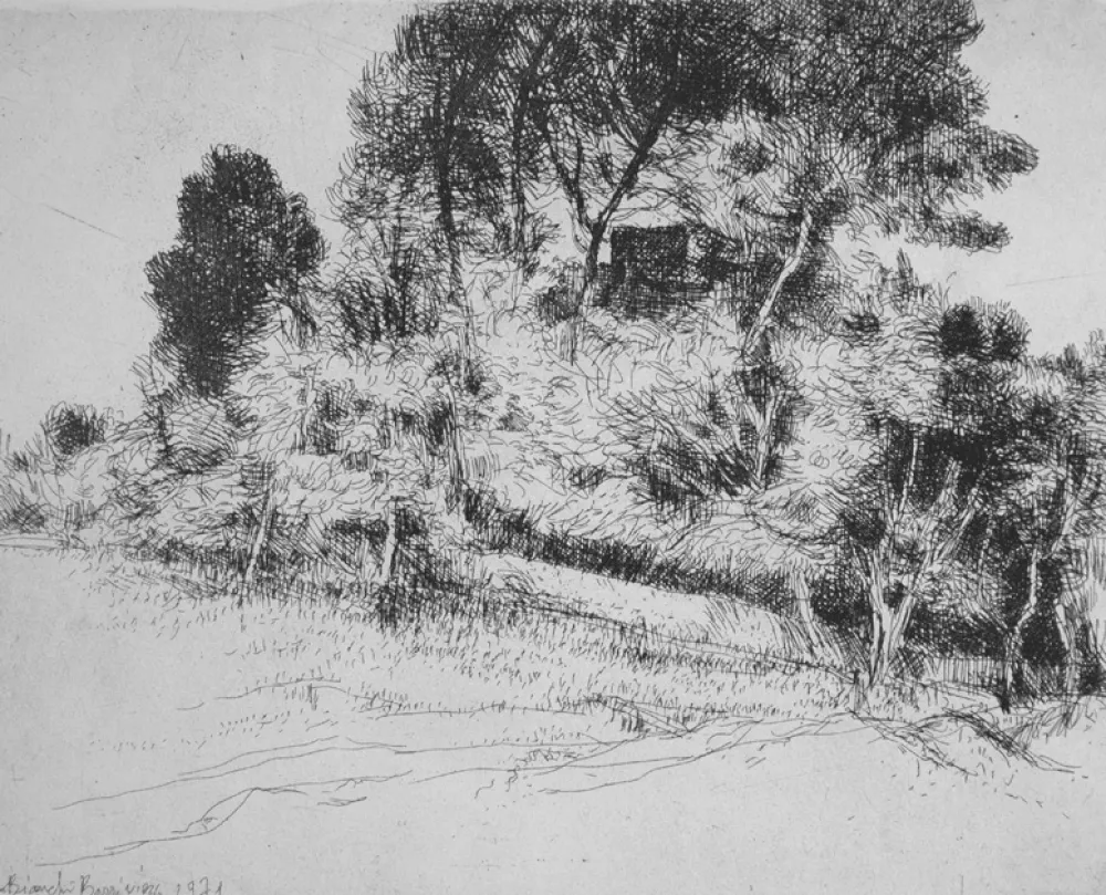 エッチング Bianchi Barriviera - Paesaggio alla via Nomentana