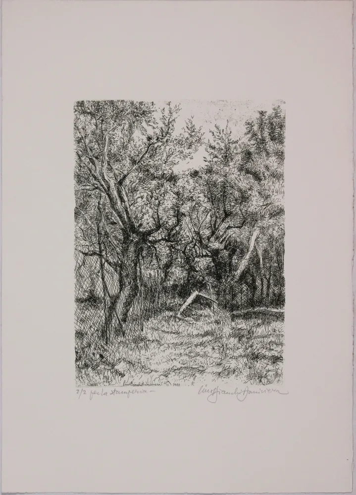 エッチング Bianchi Barriviera - Untitled