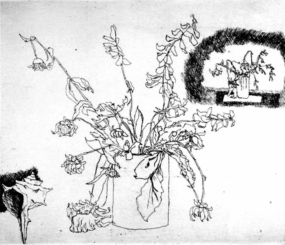 エッチング Biasion - Fiori secchi e conchiglia