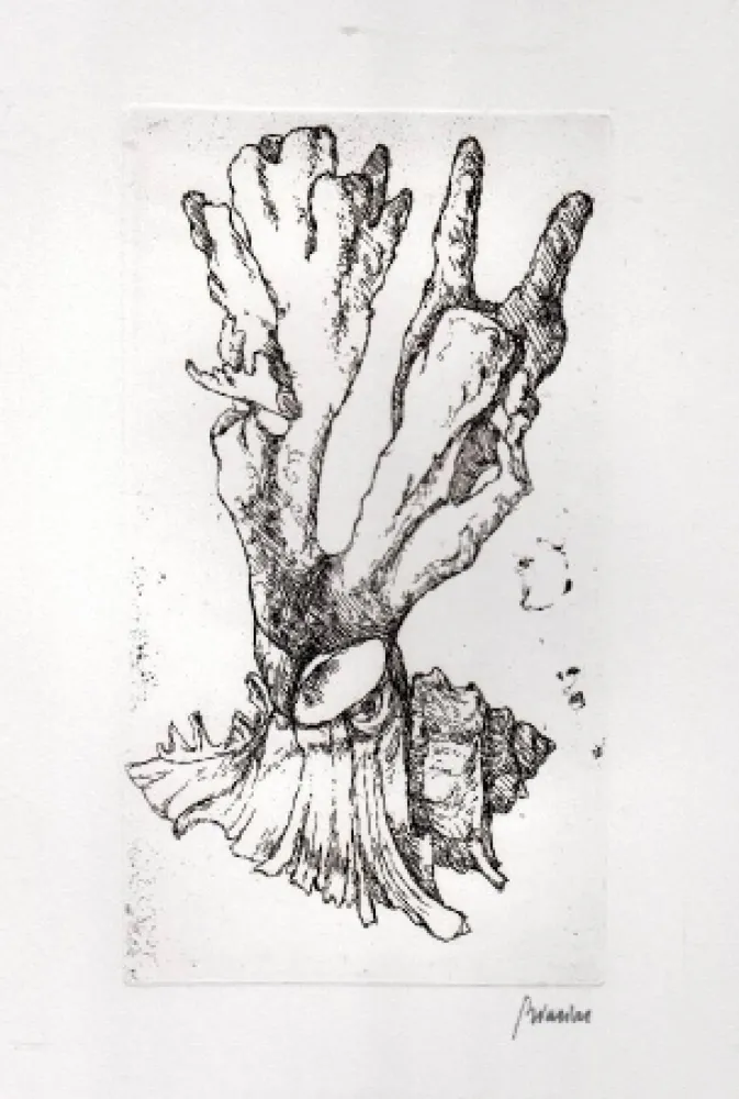 挿絵入り本 Biasion - Venezia lontana