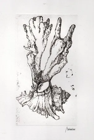 挿絵入り本 Biasion - Venezia lontana