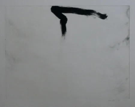 エッチングと　アクチアント Bird - Abstract 11