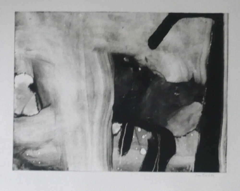 エッチングと　アクチアント Bird - Abstract 4