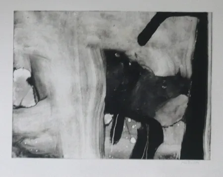 エッチングと　アクチアント Bird - Abstract 4