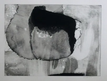 エッチングと　アクチアント Bird - Abstract 9