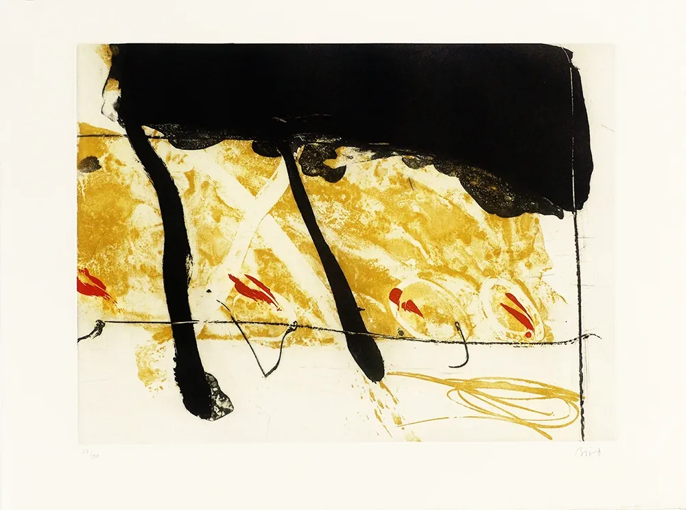 エッチングと　アクチアント Bird - Coach of black  water