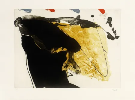 彫版 Bird - Red top