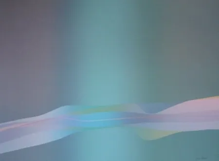 リトグラフ Bird - Spectre lumière 1