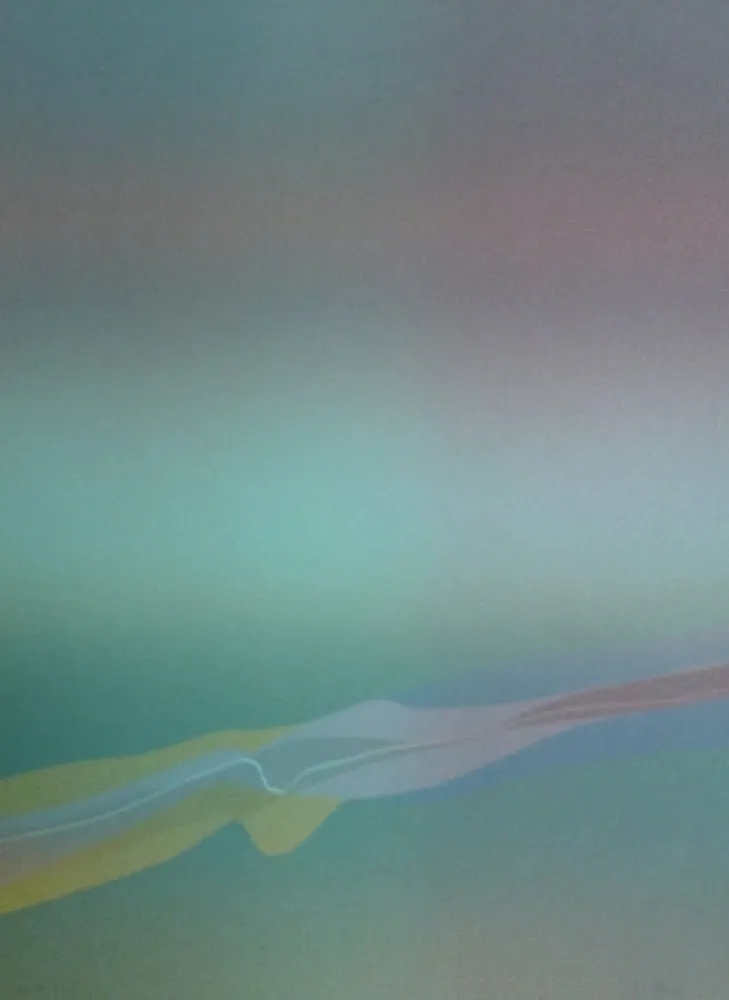 リトグラフ Bird - Spectre lumière 4