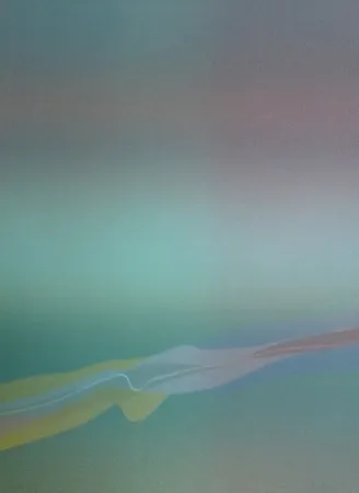 リトグラフ Bird - Spectre lumière 4