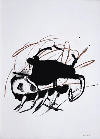 リトグラフ Bird - S/T