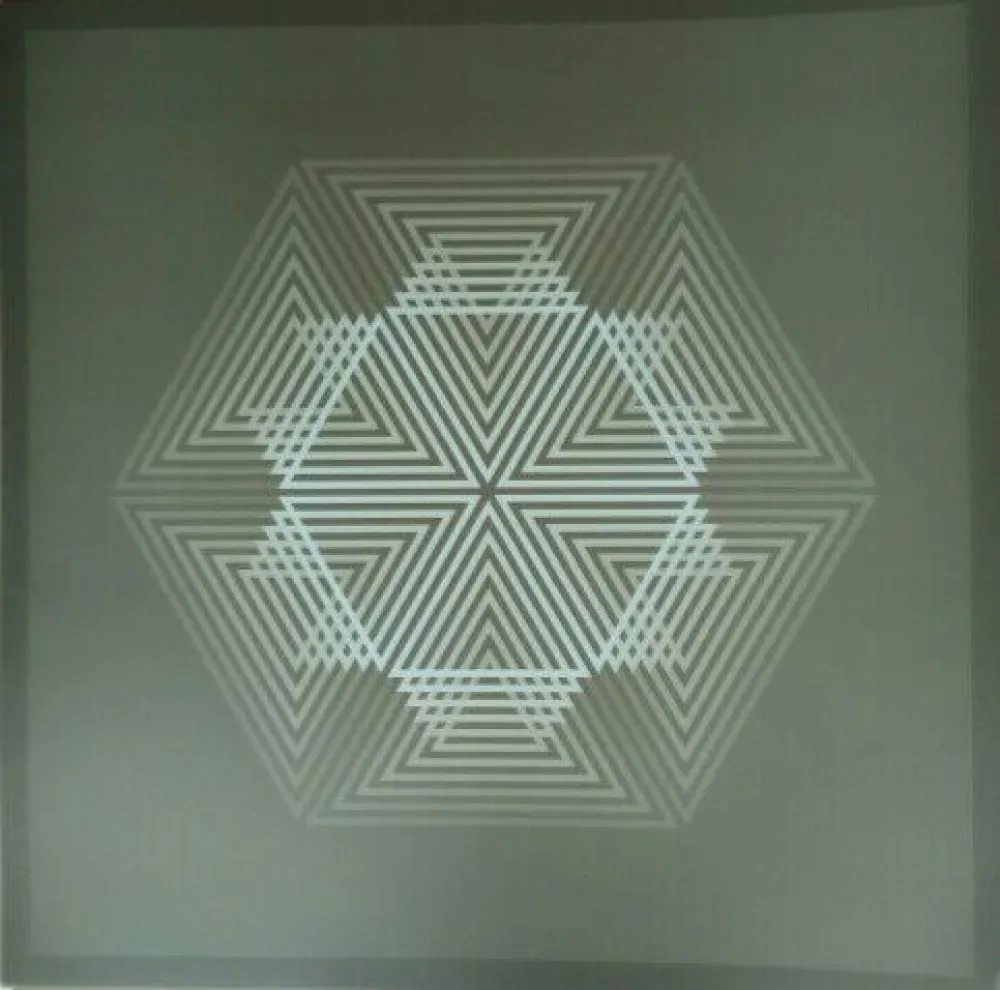 リトグラフ Bird - Tribute to Vasarely 12