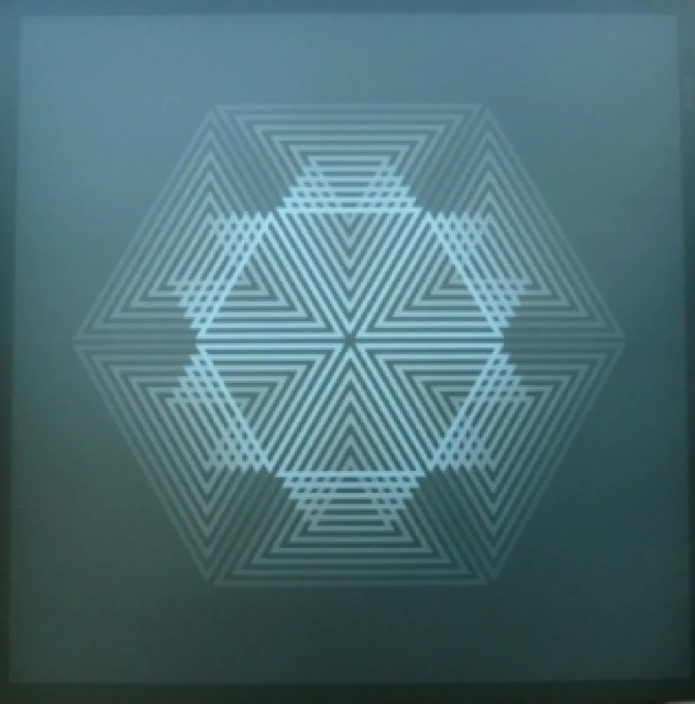 リトグラフ Bird - Tribute to vasarely 12