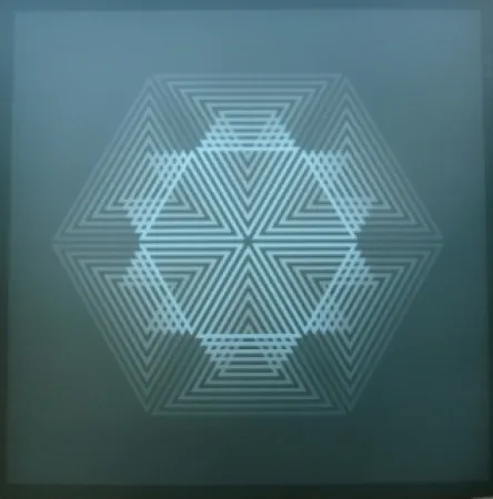 リトグラフ Bird - Tribute to vasarely 12