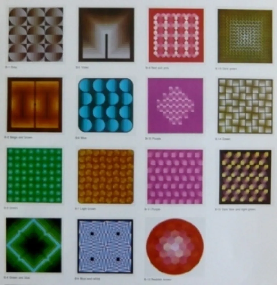 リトグラフ Bird - Vasarely reflections - 15 lithographs