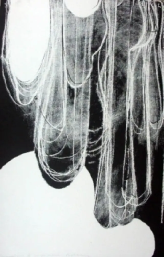 リトグラフ Blais - Sans titre