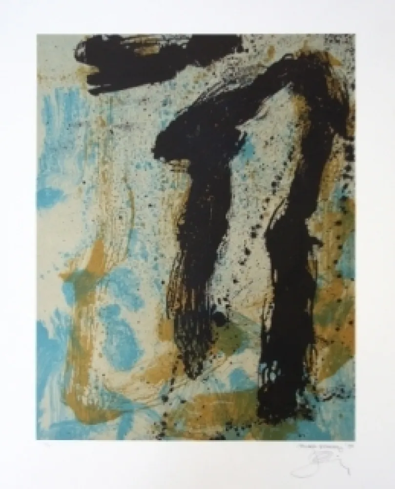 リトグラフ Bohary - Water fall river