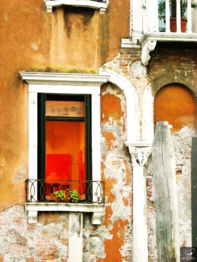 写真 Bohorquez - Arco